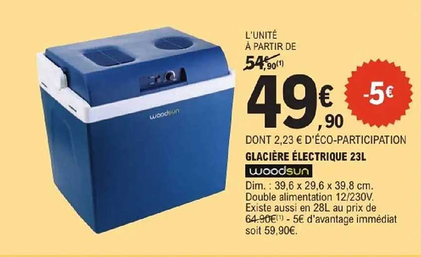 Woodsun Glacière électrique 23L