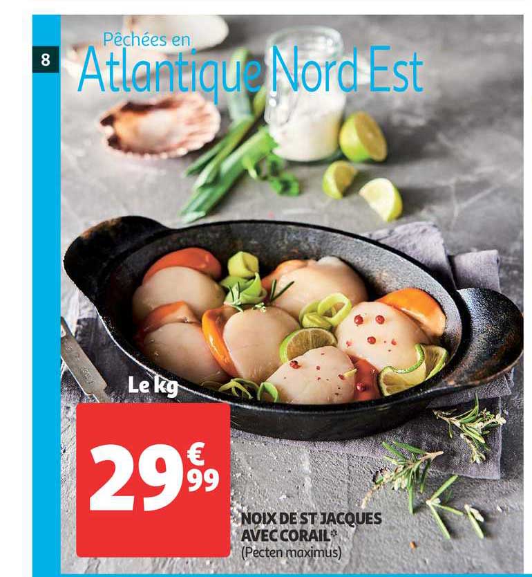 noix de st jacques avec corail