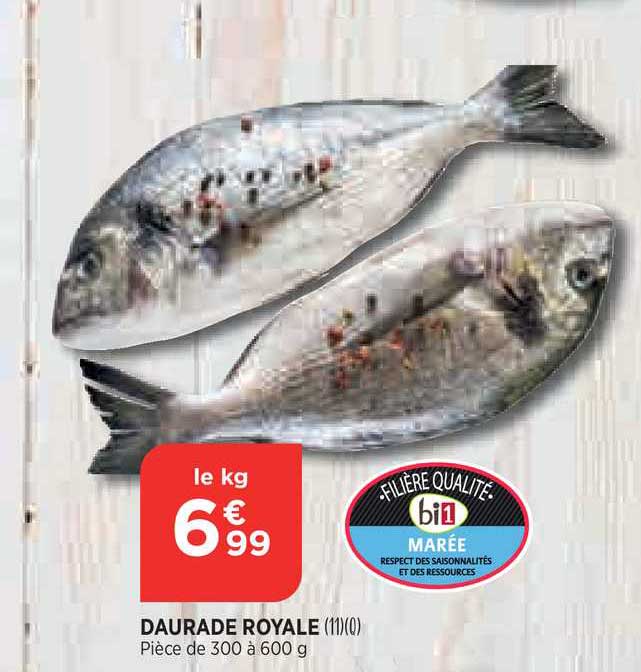 Daurade Royale