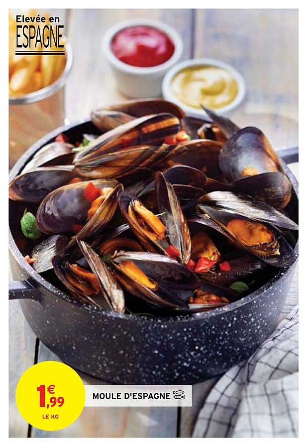 Moule D'espagne