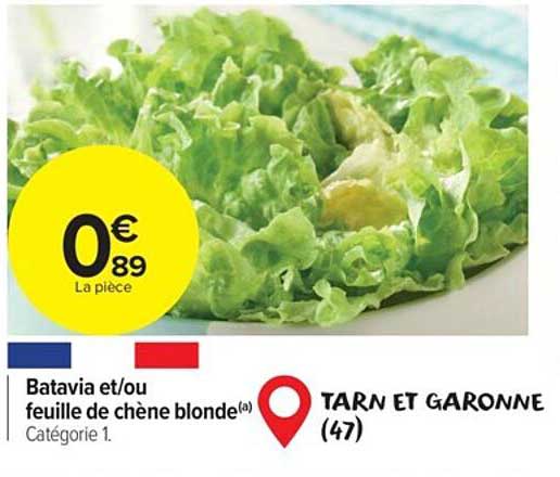 batavia et/ou feuille de chêne blonde