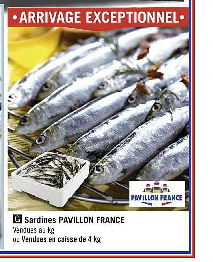 sardines pavillon france