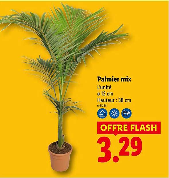 Palmier mix