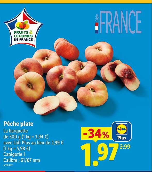 Pêche plate