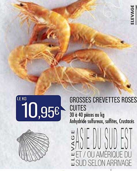 grosses crevettes roses cuites