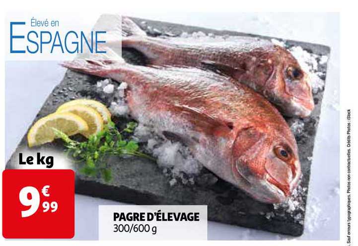 pagre d'élevage