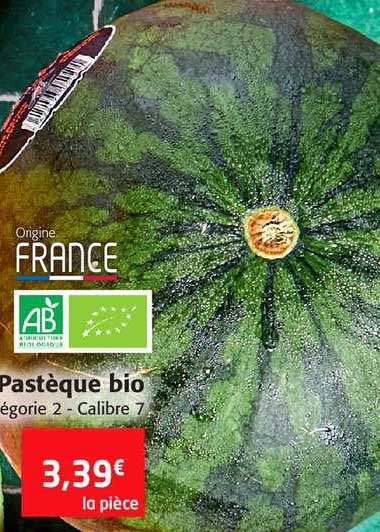 Pastèque Bio