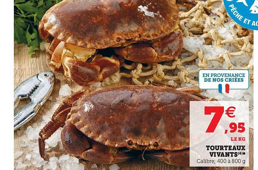 tourteaux vivants