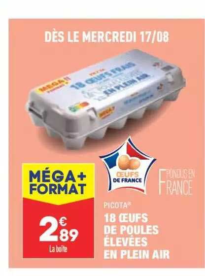 18 oeufs de poles élevèes en plein air