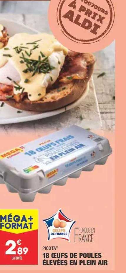 18 œufs de poules élevées en plein air