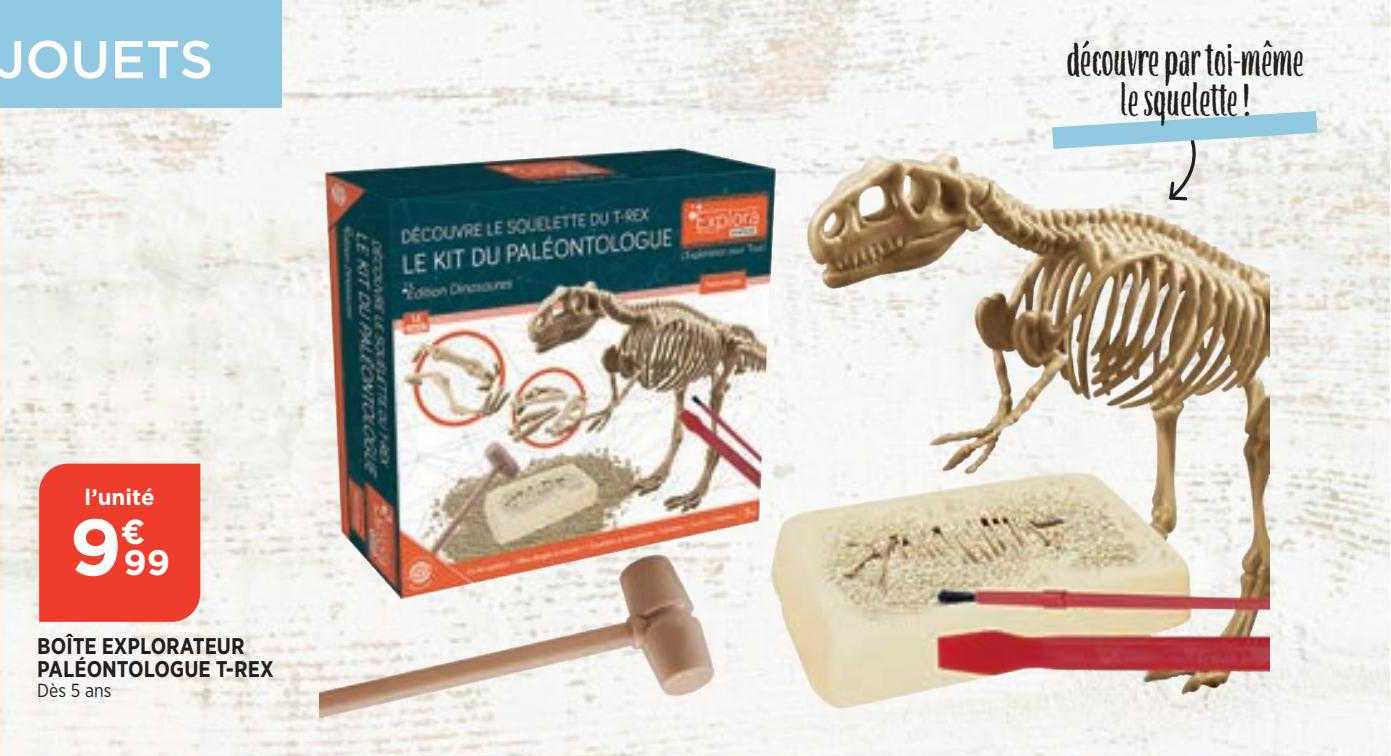 boite explorateur paléontologue t-rex