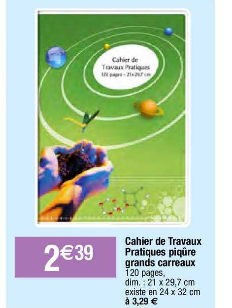 chaier de travaux pratiques piqûre grands carreaux