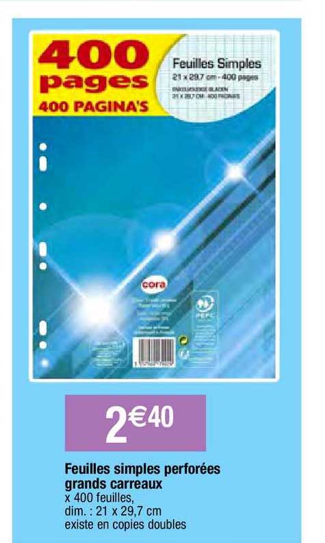 feuilles simples perforées grands carreaux