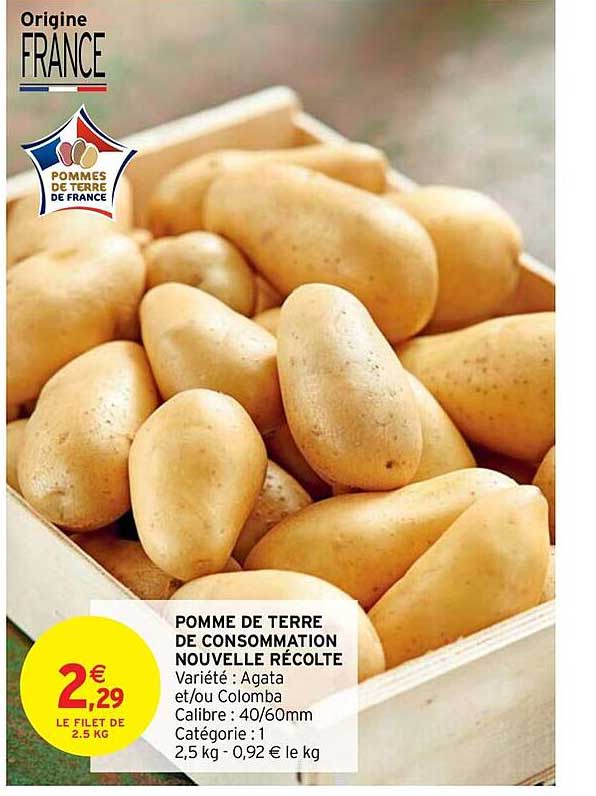 pomme de terre de consommation nouvelle récolte agata et ou Colomba