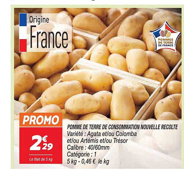 pomme de terre de consommation nouvelle récolte agata et-ou colomba et-ou artémis et-ou trésor
