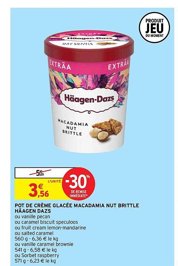 pot de crème glacée macadamia nut brittle häagen dazs