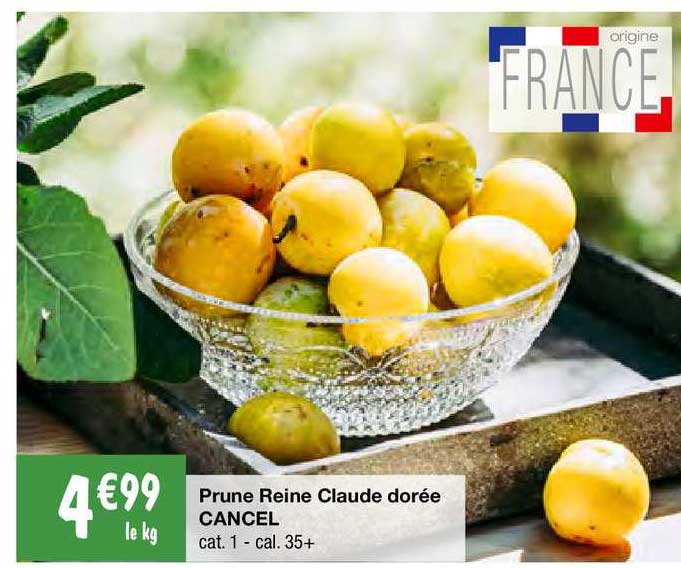prune reine claude dorée cancel