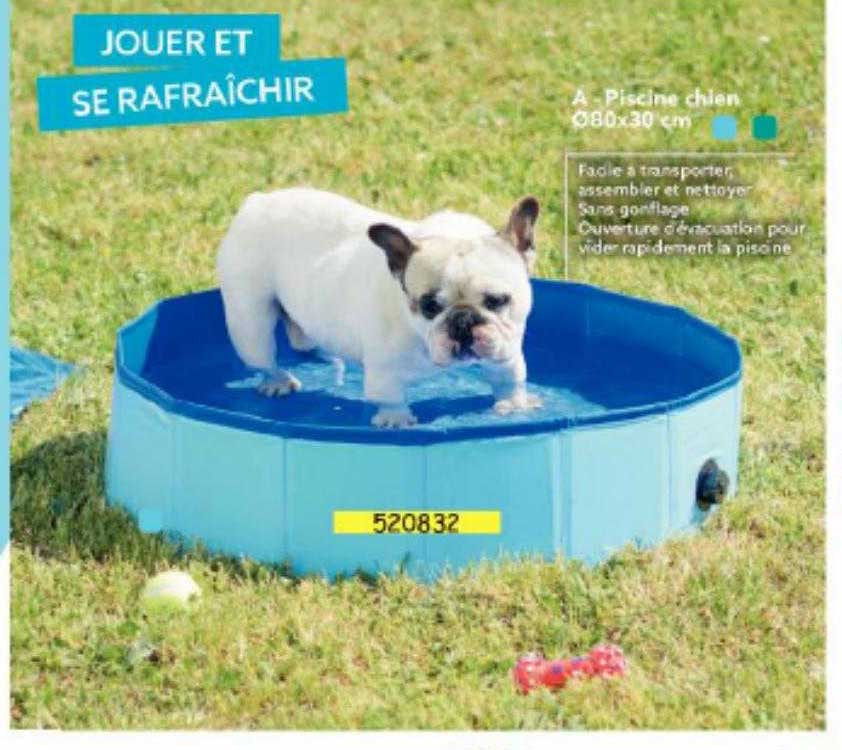 piscine chien ø80 x 30 cm