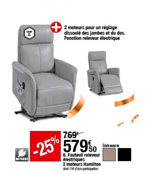 fauteuil releveur électriques 2 moteurs hamilton