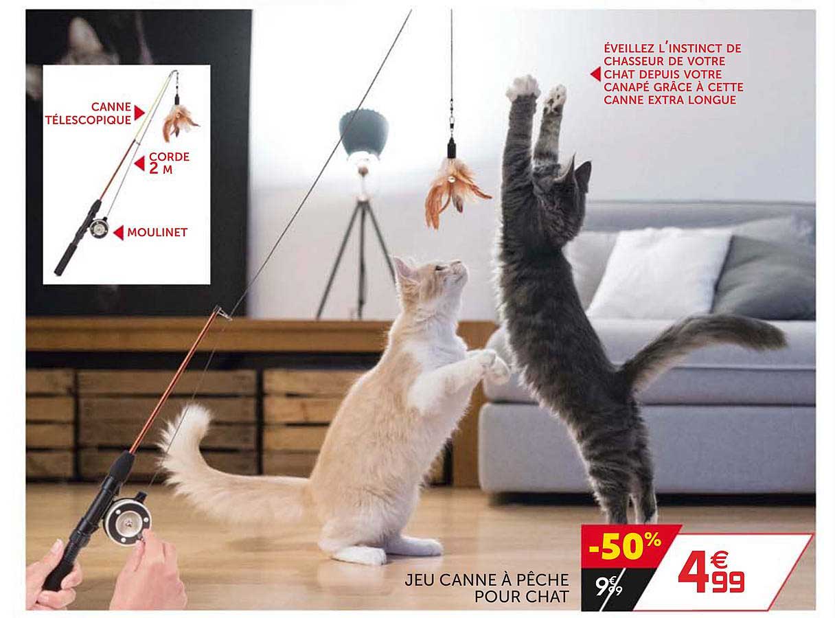 Jeu Canne à Pêche Pour Chat