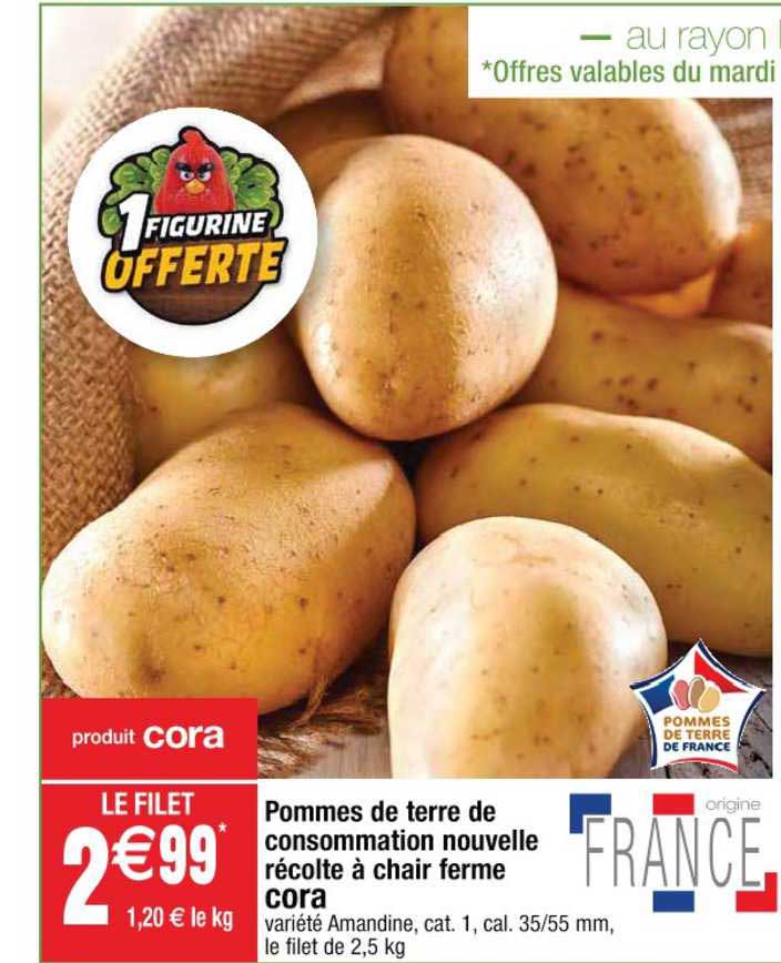 pommes de terre de consommation nouvelle récolte à chair ferme cora