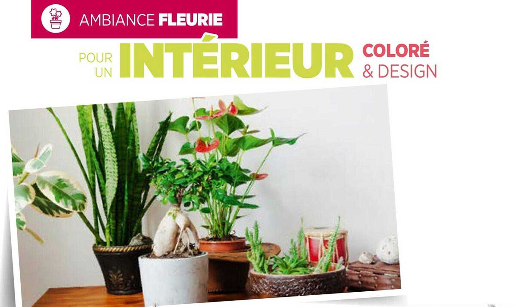 ambiance fleurie pour un intérieur coloré & design