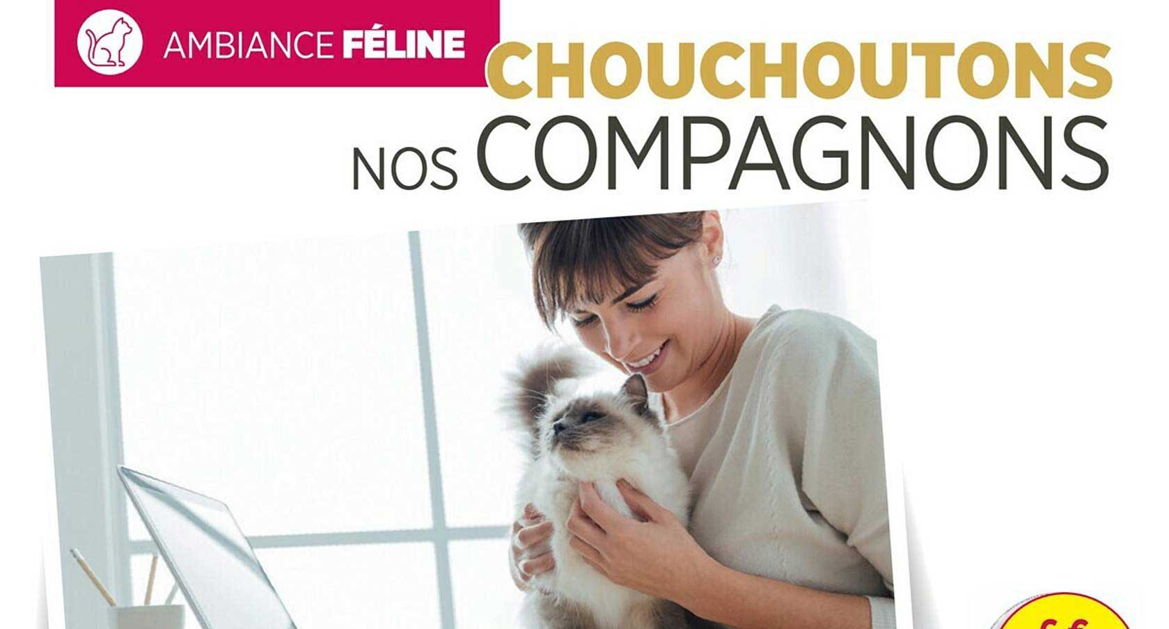 chouchoutons nos compagnons