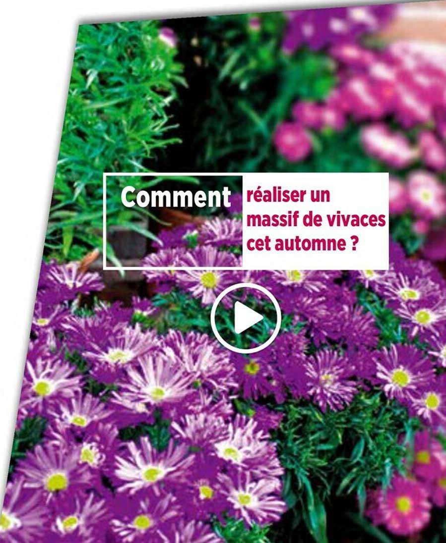 comment réaliser un massif de vivaces cet automne?
