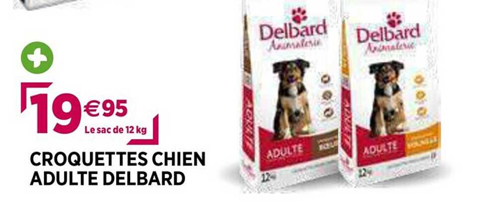 croquettes chien adulte delbard