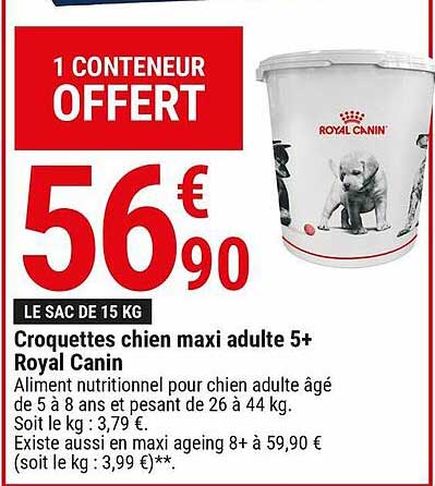 Croquettes Chien Maxi Adulte 5+ Royal Canin