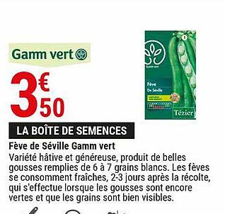 fève de séville gamm vert