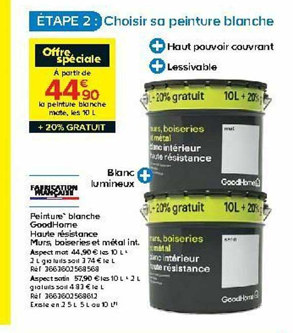 Painture Blanche Goodhome