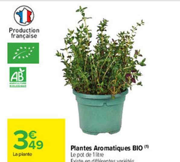 Plantes Aromatiques Bio