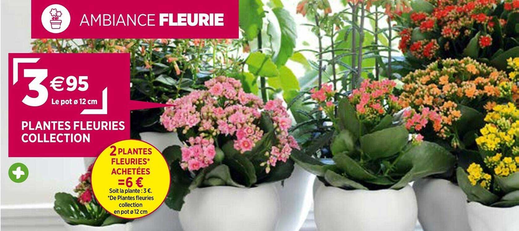 Plantes Fleuries Collection