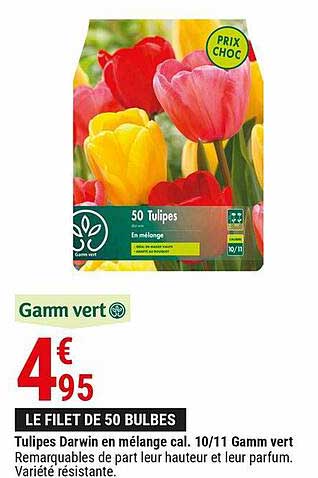 tulipes darwin en mélange cal. 10-11 gamm vert