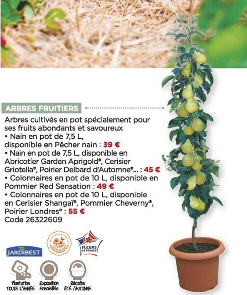 arbres fruitiers jardibest