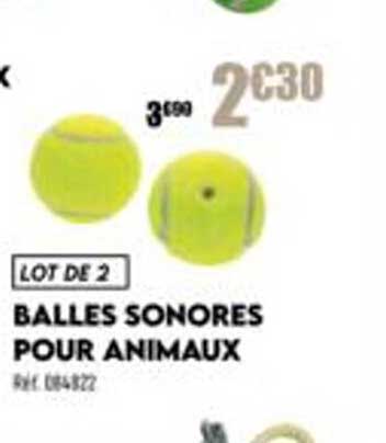 balles sonores pour animaux