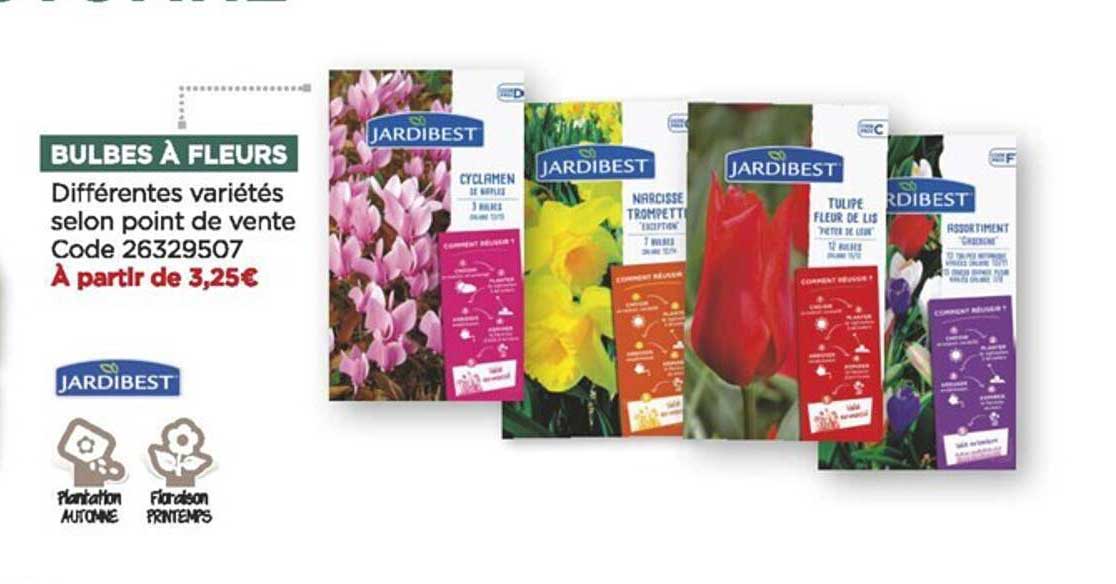 bulbes à fleurs jardibest