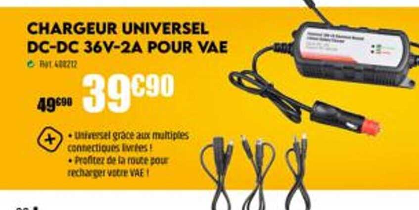 chargeur universel dc-dc 36v-2a pour vae