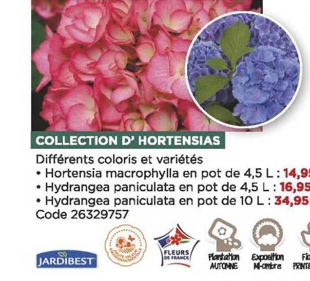 collection d'hortensias jardibest