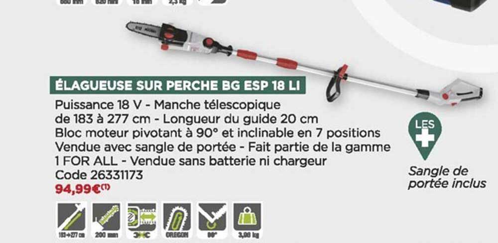 élagueuse sur perche bg esp 18 li