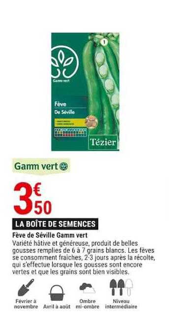 fève de séville gamm vert