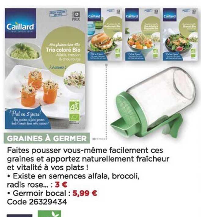 graines à germer caillard
