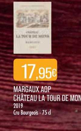 margaux aop château la tour de mons 2019