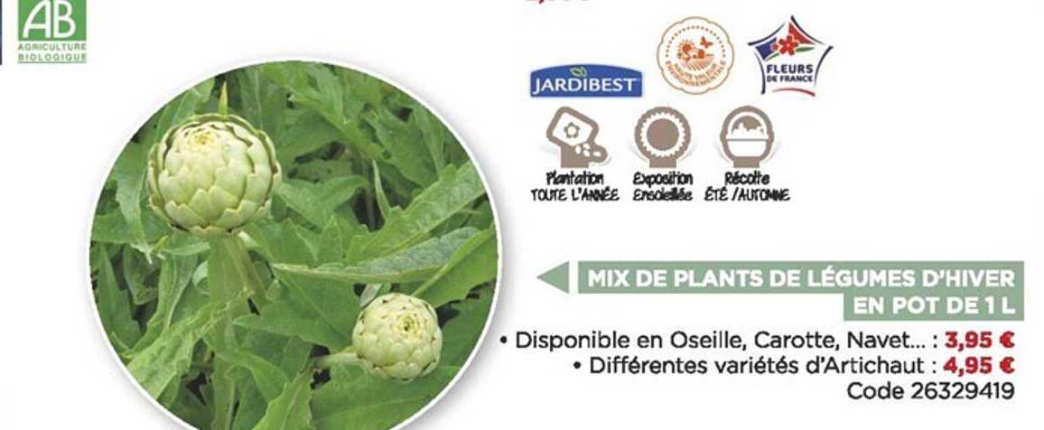 mix de plants de légumes d'hiver en pot de 1l jardibest