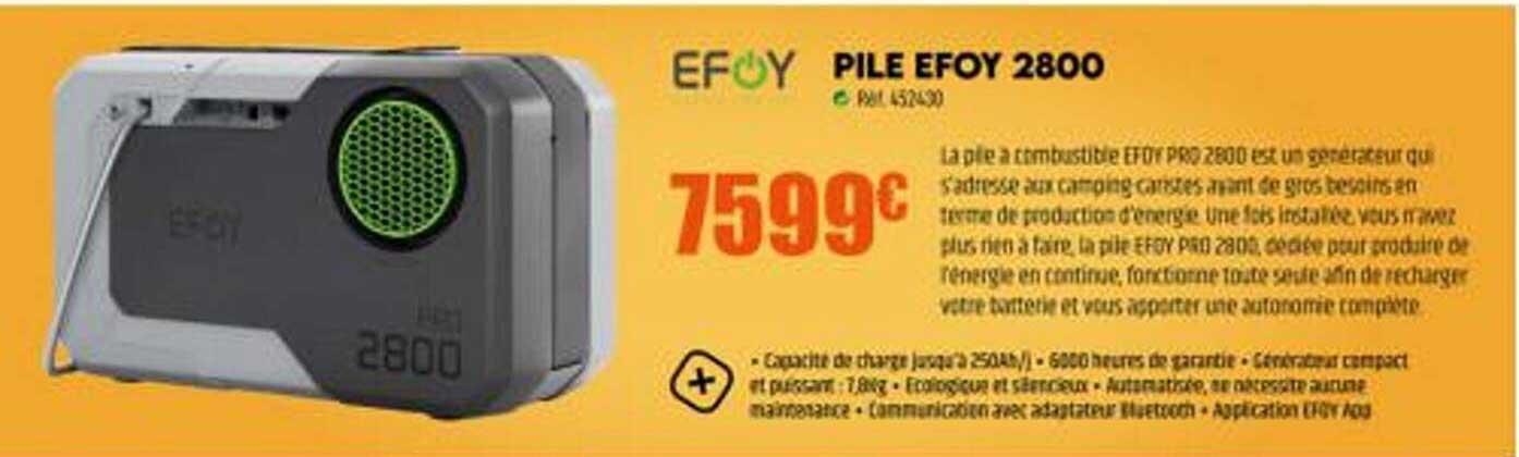 Pile Efoy 2800
