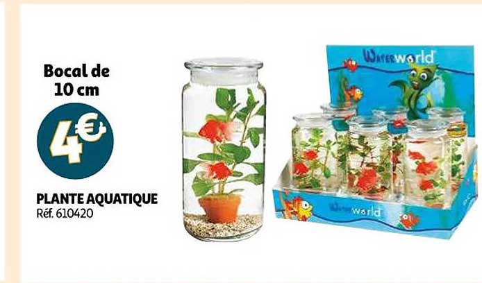 plante aquatique
