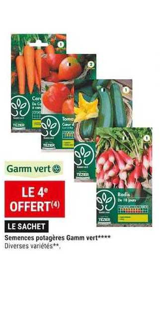 semences potagères gamm vert