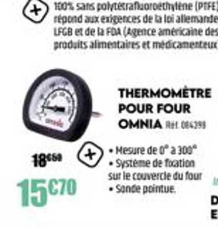 thermomètre pour four omnia