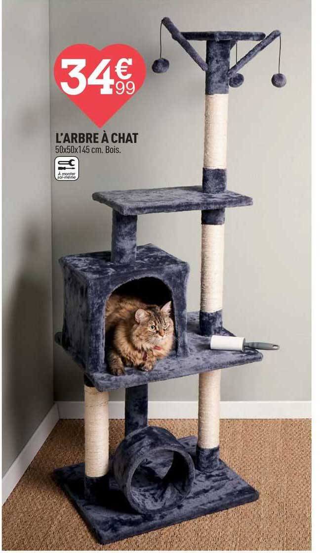 l'arbre à chat